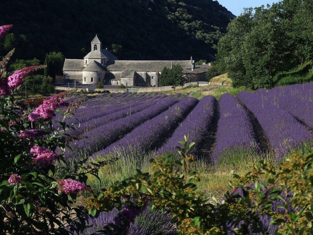 Abbaye de Senanque - Photo by Hubert TABUTIAUX