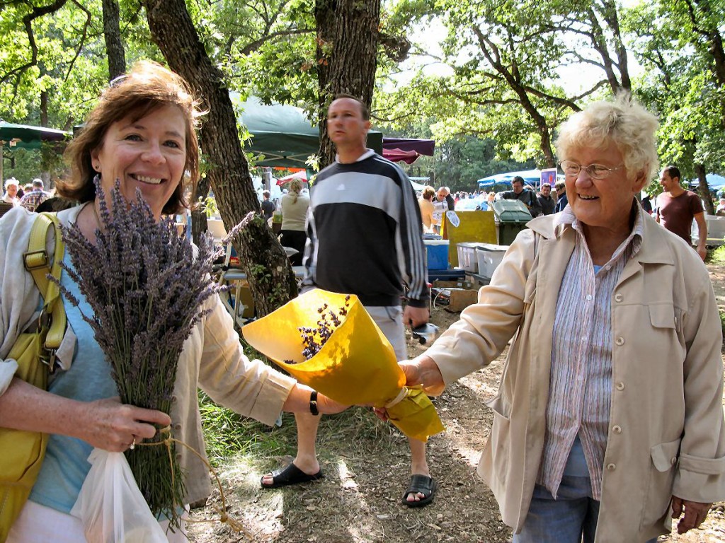 Lavender Fair in Sault