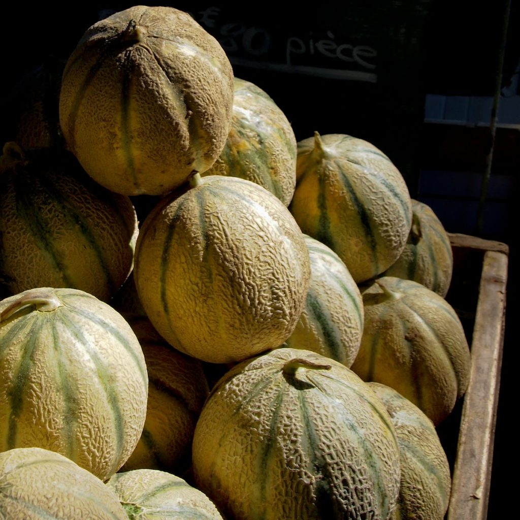 Melons-8311231.JPG