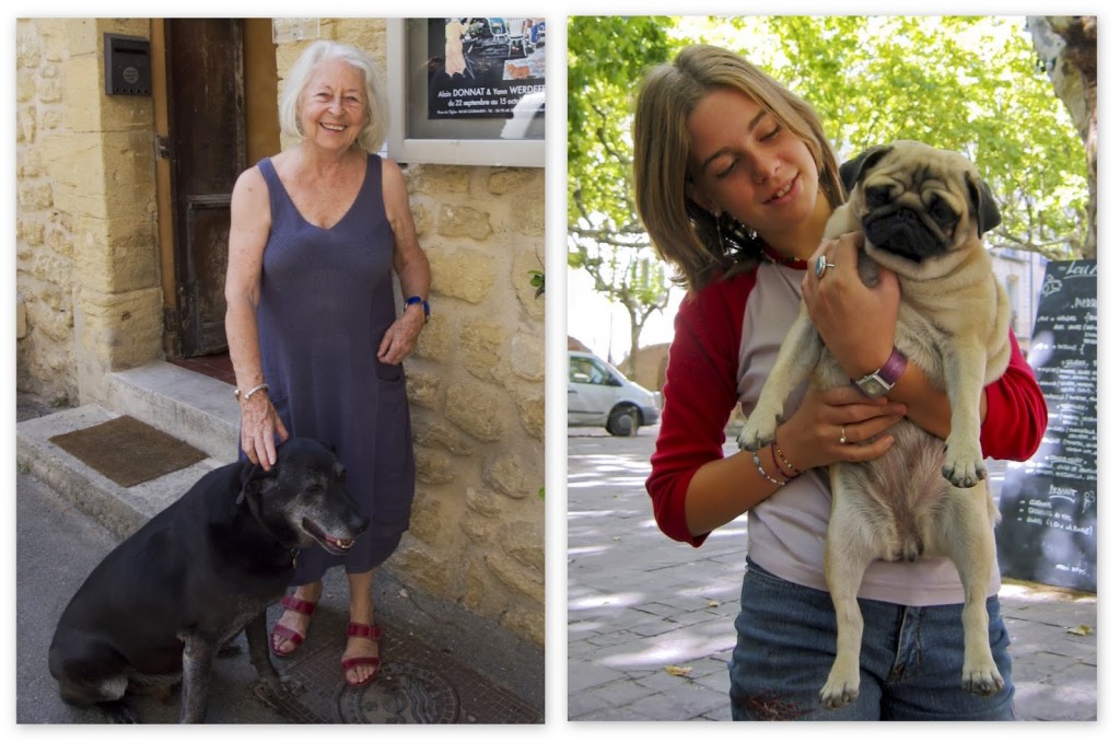 Dogs+in+Provence3.jpg