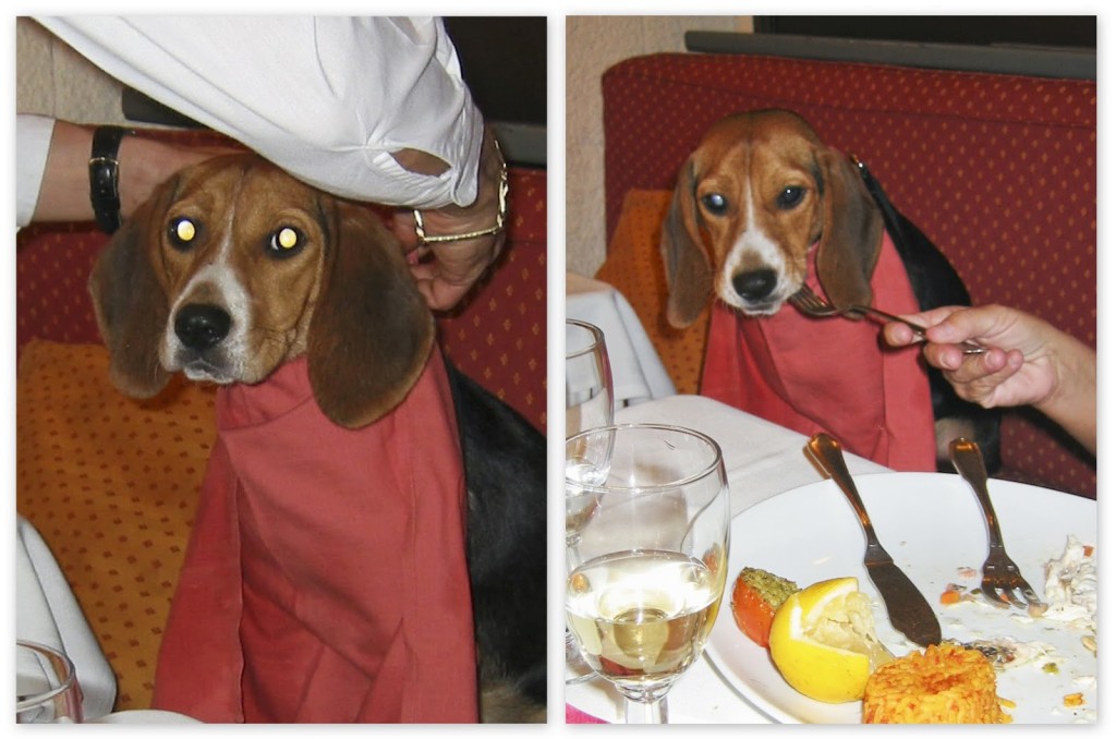 The waiter prepares me for my meal at Chez Gilbert in Cassis