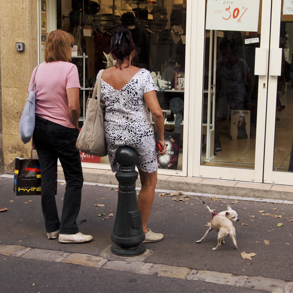 Dogs_in_Provence (1 of 1)-27