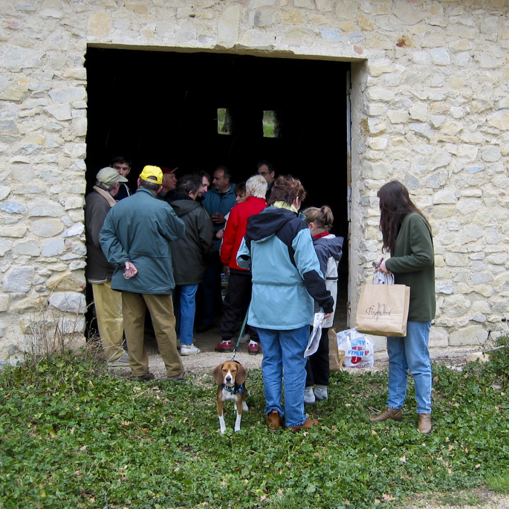 Dogs_in_Provence (1 of 1)-54