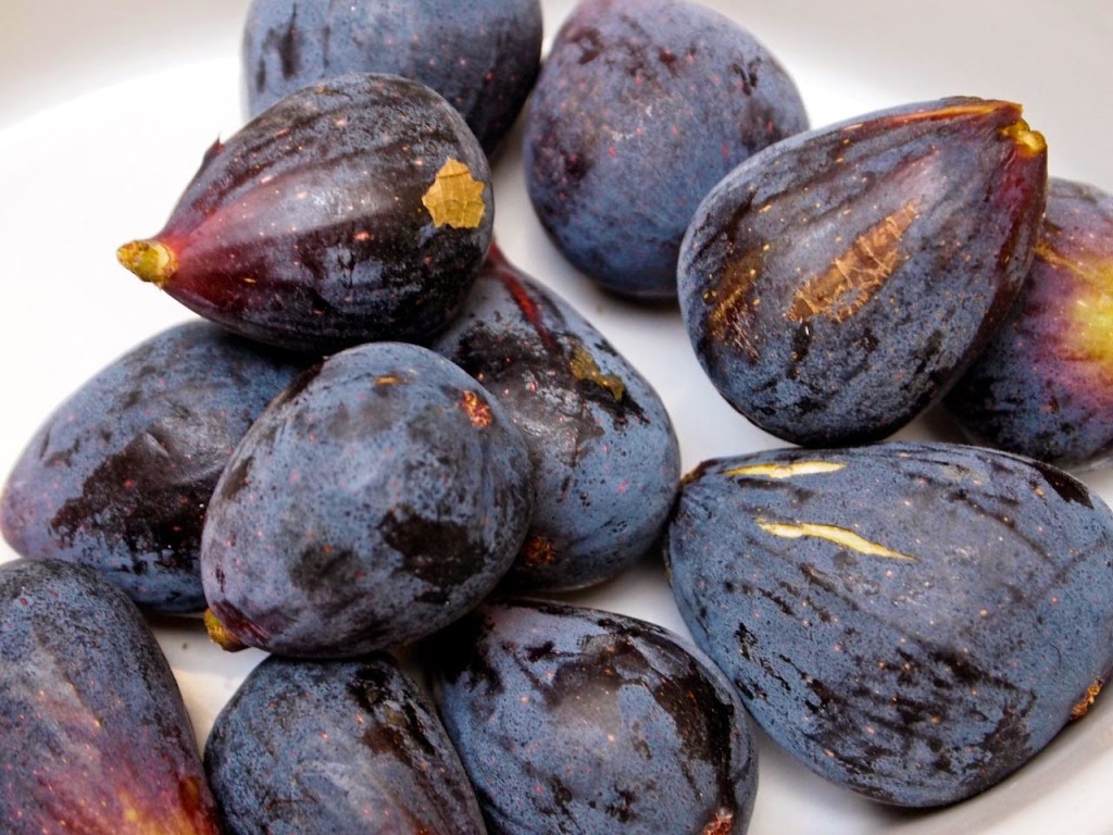 The bounty of our fig picking adventure in Lourmarin