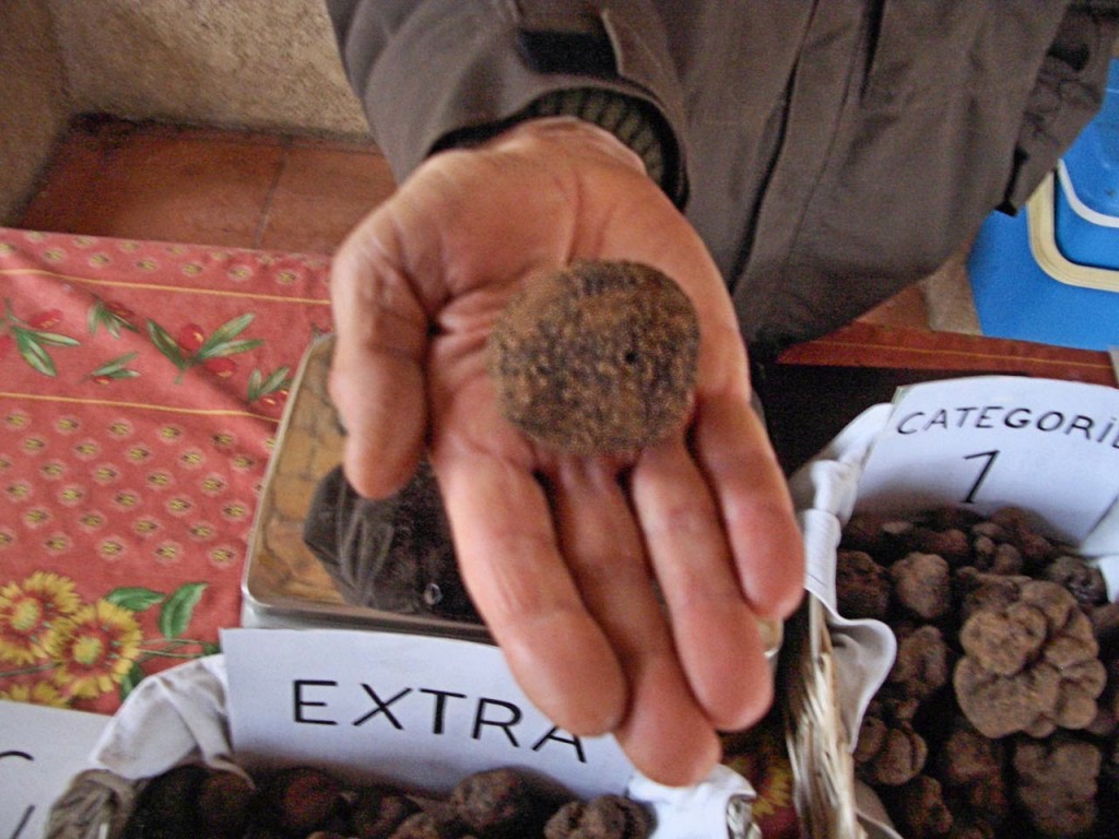 The vendor holds an "Extra" class truffle at the Aups Truffle Market. Photo by Pamela J. O'Neill