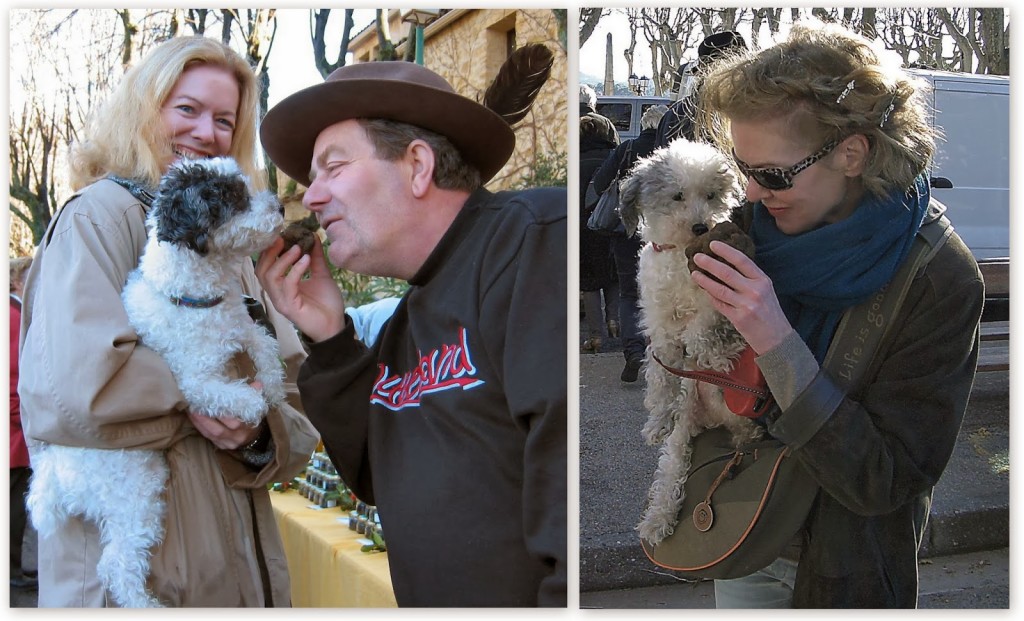 Pamela O'Neill introduces her dog D'Agneau to truffles in Lourmarin (2002) and again in Aups (2014) Photos by S. Manfull and Pamela J. O'Neill