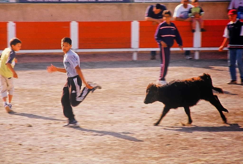 bullfight-7.jpg