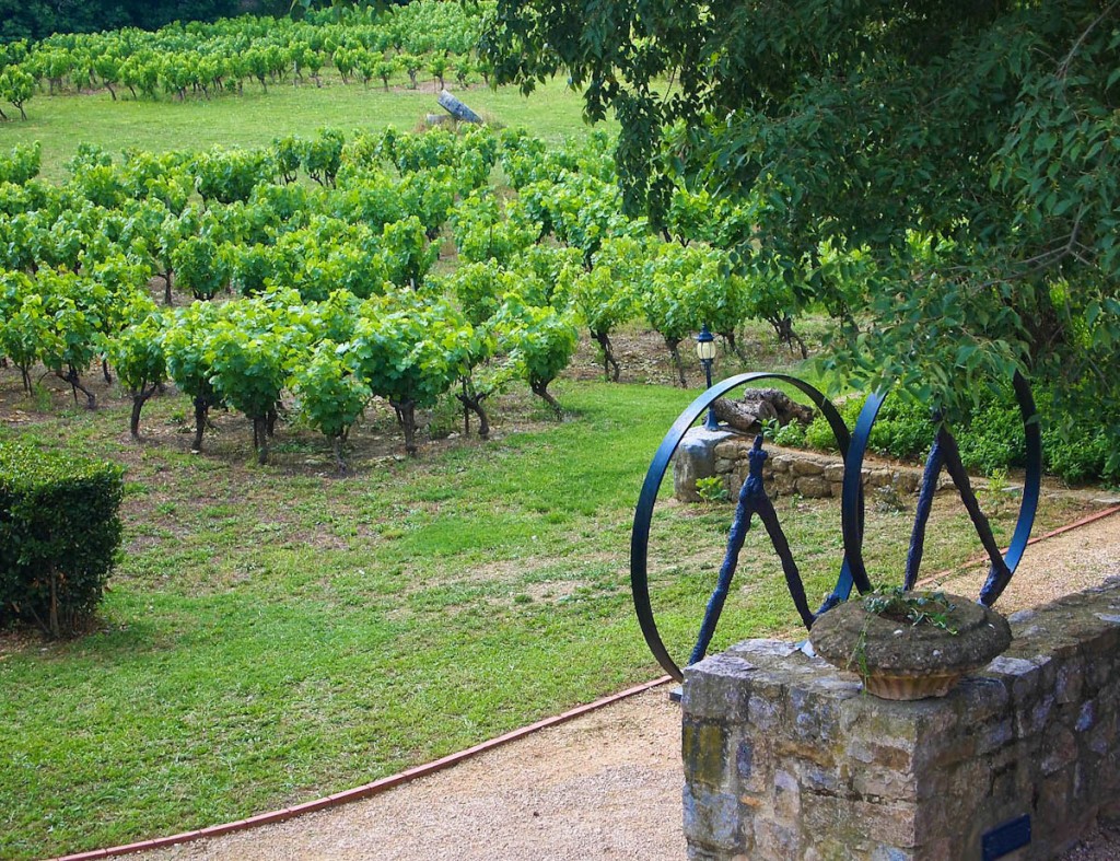 The French garden of 88 grape varieties. Photo: Pamela O'Neill