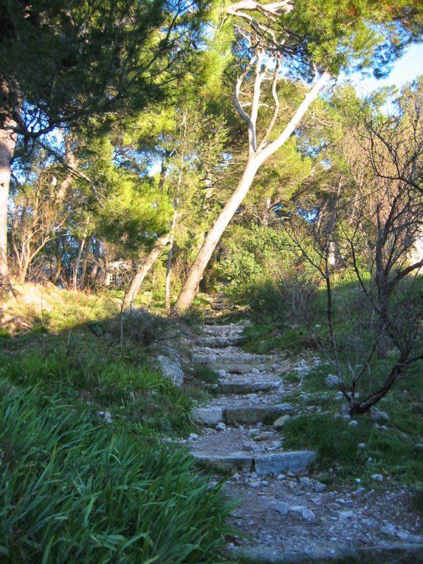 Photo: W T Manfull (taken January 2003)