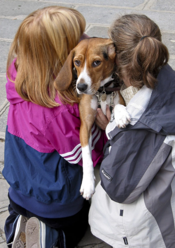 Dogs_in_Provence (1 of 1)-46