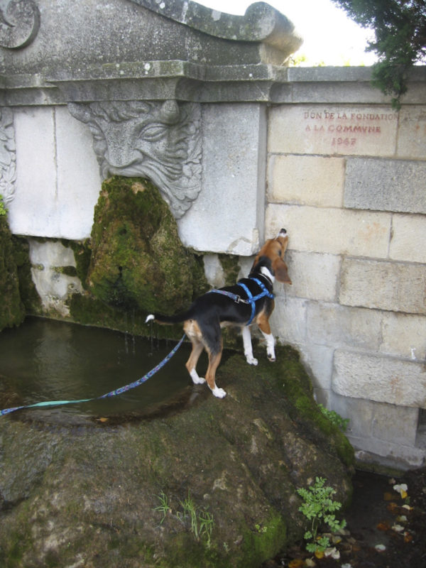 On the trail of a scent (in Lourmarin)